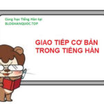 Cẩm Nang Giao Tiếp Tiếng Hàn Cơ Bản Cho Người Mới Bắt Đầu