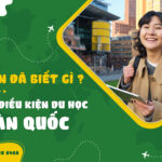 #5 ĐIỀU KIỆN DU HỌC HÀN QUỐC CÓ THỂ BẠN CHƯA BIẾT