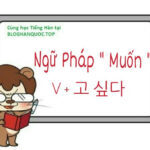 Hiểu rõ ngữ pháp “muốn – 고 싶다” trong tiếng Hàn