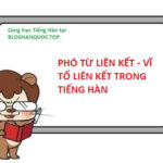 Các Nguyên Tắc Liên Kết Câu Trong Tiếng Hàn: Phó Từ và Vĩ Tố Liên Kết