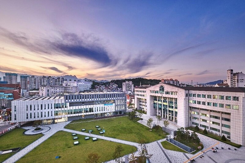 Chương trình đào tạo đại học