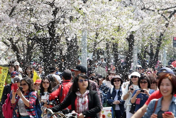 Du khách chụp ảnh tại lễ hội