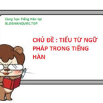 Nắm Vững Tiểu Từ Ngữ Pháp Tiếng Hàn: Chìa Khóa Giao Tiếp Thành Thạo